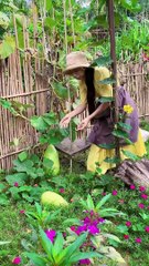 Enjoy beautiful nature with rural life