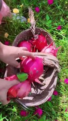 Enjoy beautiful nature with rural life