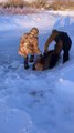 Deux mecs aident un veau wapiti à sortir de la glace - Buzz Buddy