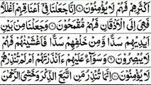 Surah Yasin Yaseen  Sheikh Abu Bakr Al Shatri  Al Quran Recitation With Arabic Text_1080p