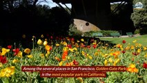 What are the Beautiful Places you can Explore on the Walk Tour to San Francisco