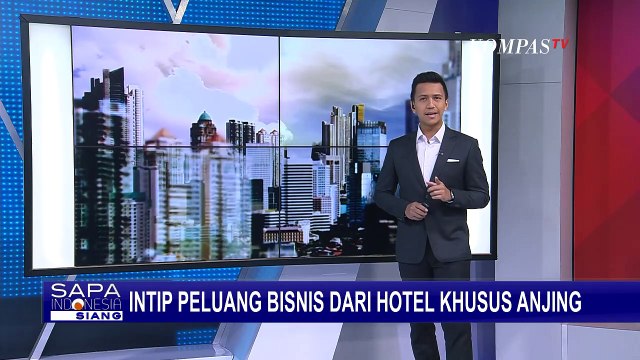 Anda Punya Anabul? Yuk, Coba Hotel Mewah Khusus Anjing, Tarik Harga Mulai Rp190 Ribu Saja