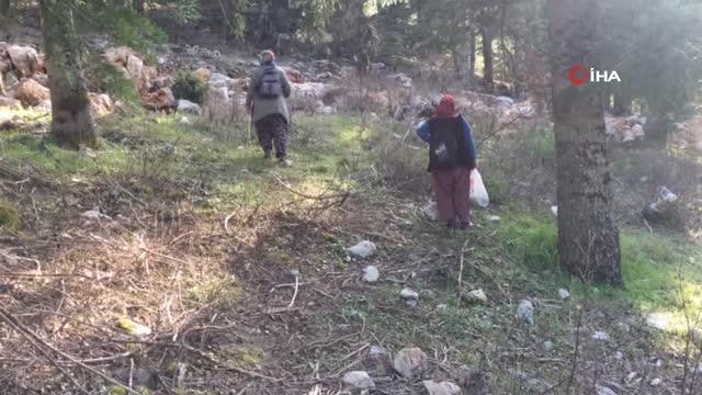 Yılda 1,5 ay yetişiyor, tazesinin kilosu 300 liradan kurutulmuşu 2 bin 500 liradan alıcı buluyor