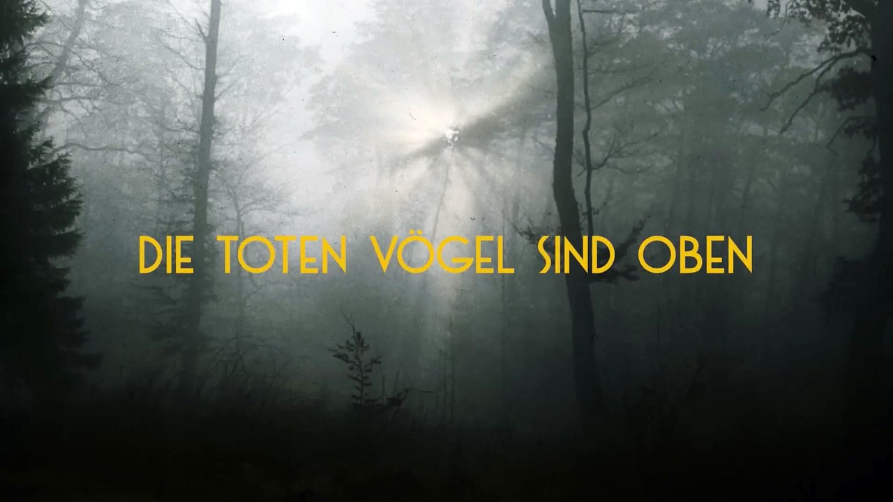 DIE TOTEN VÖGEL SIND OBEN Film