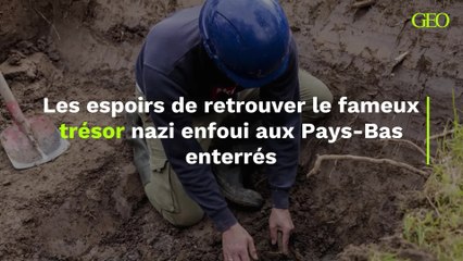 Au Pays-Bas, les espoirs de retrouver le fameux trésor nazi sont enterrés