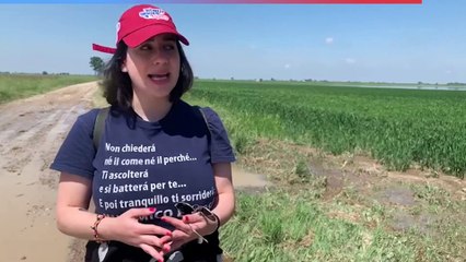 Alluvione Bologna, campi allagati a Medicina. Il video