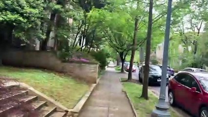 Türkiye vatandaşları ABD'de sandık başında