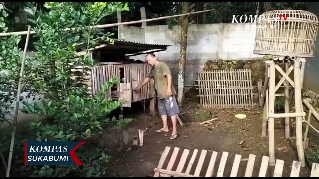 Warga Temukan Ular Sanca Besar Mangsa Ayam Ternak