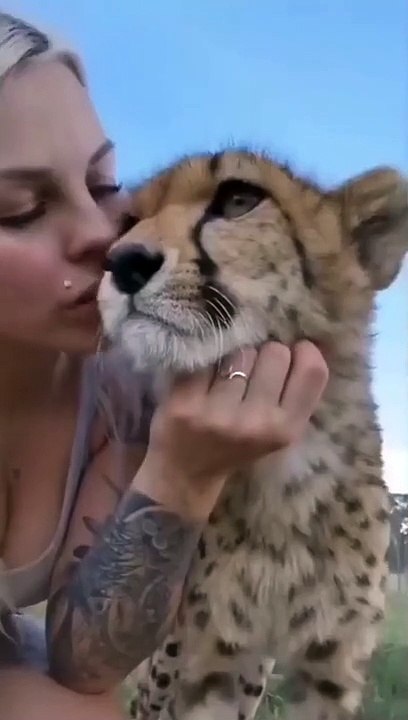 Funny animal's। Cat/dog lover  FLLOW US/like & share #viralpost  #animal #viral