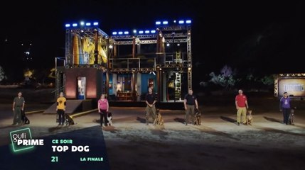 Top Dog - Quel chien sera le plus agile ? - 4 mai