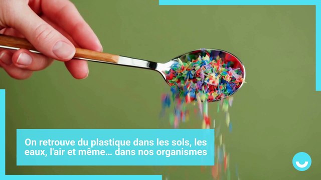 Déforestation, énergies vertes... Que s'est-il passé sur votre planète en avril 2023 ?