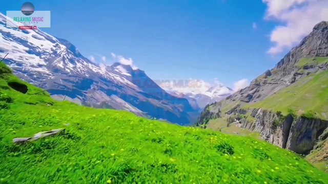 Natural Environment Video With Relaxing Music | Calming Music For Sleep Music sounds | Morning Mind Relaxing videos for sleep | bossa nova beach relaxing music