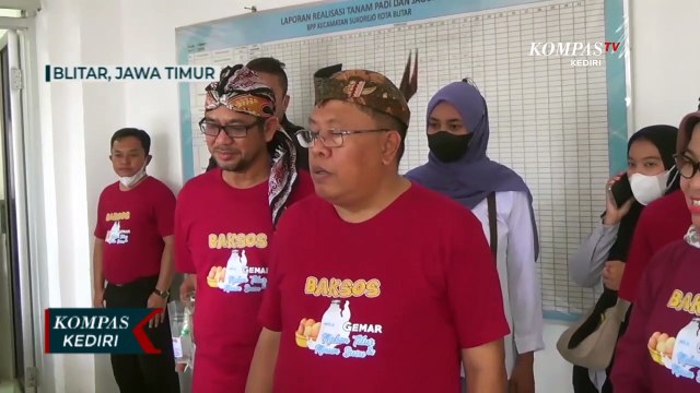 Kendalikan Populasi, Pemkot Blitar Kebiri Puluhan Kucing