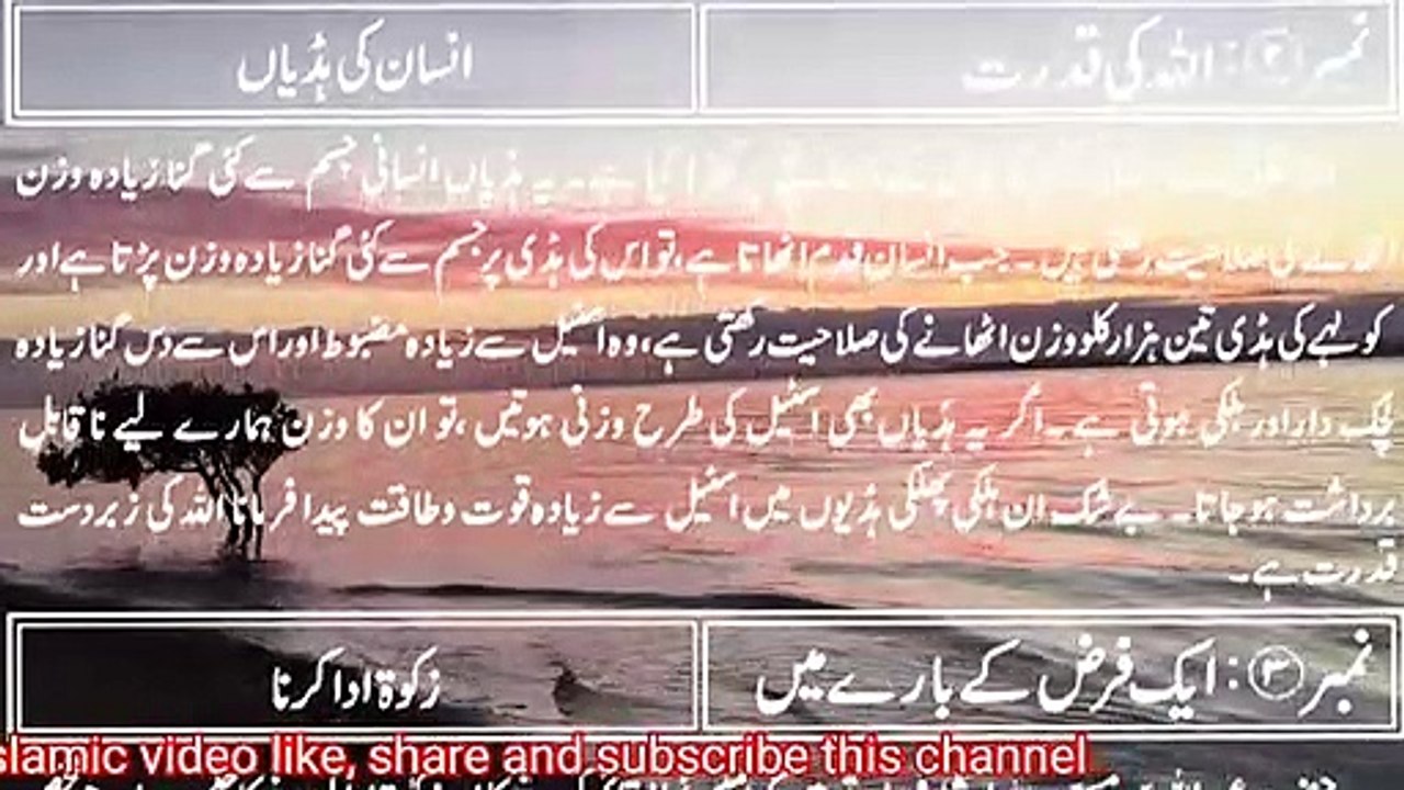 Power of Allah, Allah ki qudrat, human bones, Quran o Sunnah, about world