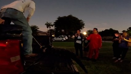 Moment 10ft alligator removed from Florida garden after taking dip in pool