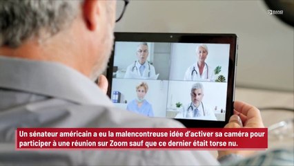 Un sénateur apparaît torse nu durant une réunion Zoom