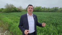 CHP Milletvekili Gaytancıoğlu: Buğday alım fiyatı en az 9 lira olmalı