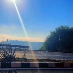 मादा तेंदुआ होने की संभावना, पूर्व में दो शावकों के साथ आई थी नजर