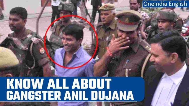 Uttar Pradesh: Gangster Anil Dujana neutralised in an encounter in Meerut | Oneindia News