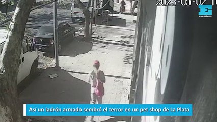 Así un ladrón armado sembró el terror en un pet shop de La Plata