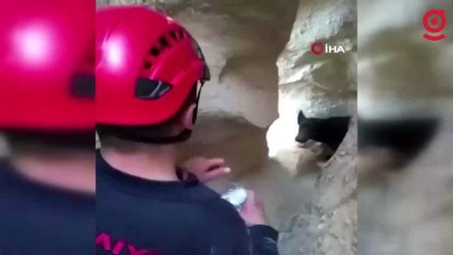 Kayalıklarda mahsur kalan köpeğin yardımına itfaiye ekipleri yetişti