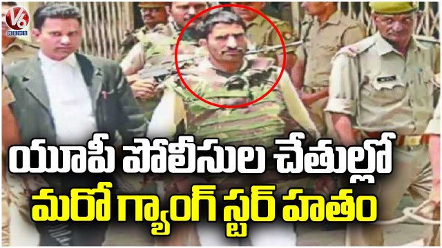 UP Police Encountered Gangster Anil Dujana _ V6 News (3)