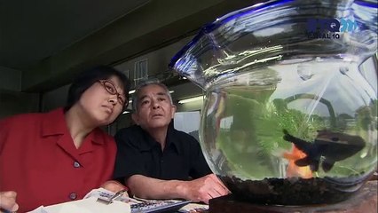 Pelicula Japonesa RTQ Mexico 2022