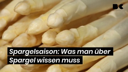 Spargelsaison: Was man über Spargel wissen muss