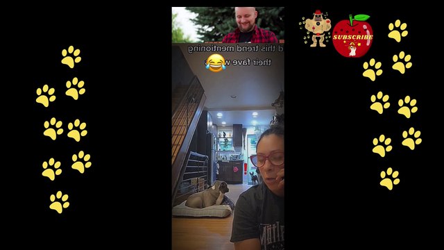 Dogs can have a wide range of reactions to birds, including when a bird is eating their food.