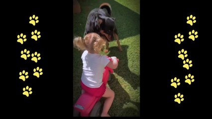 Dogs can have very sweet and heartwarming reactions to babies