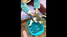 Funny Animal Videos 2023