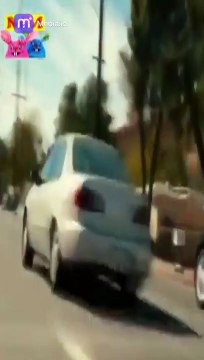 جرعتك اليومية من الضحك مقاطع فيديو مضحكة أفضل فيديو كوميدي لعام 2023