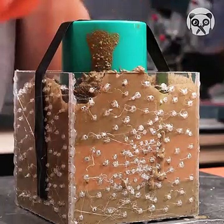 Crafting Exciting Ideas Using Concrete