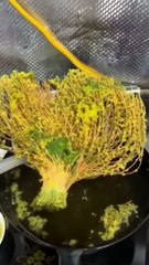 Creative People Who Are On Another Level .