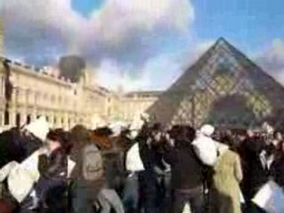 Pillow fight day Paris 2008