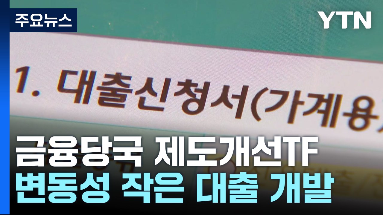 금융당국, 변동성 작은 대출상품 개발...금리 조정 감독 강화 / YTN