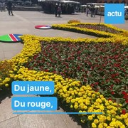 Des milliers de fleurs ornent la place du Capitole le temps d'une journée à Toulouse