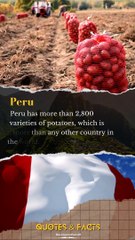 Facts About The World, That Will Blow Your Mind #short