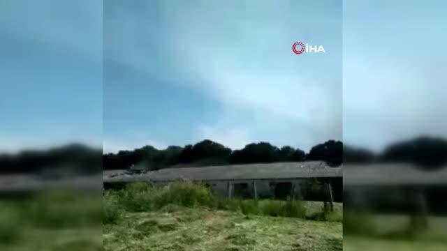 Yumurta çiftliğinde yangın çıktı: 8 bin 600 tavuk telef oldu