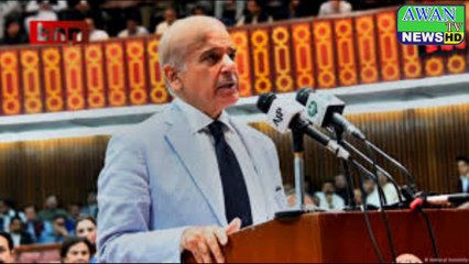 Fake prime minister's vote of confidence from fake assembly