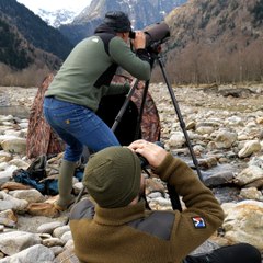 Une journée avec Jean-François et son fils Lucas, photographes animaliers