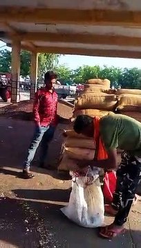 मंडी में नमूनों से जिंस की नीलामी!, किसान महापंचायत के प्रदेश अध्यक्ष का आरोप