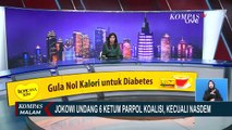 Undang 6 Ketum Parpol Koalisi Kecuali NasDem, Jokowi: NasDem Sudah Punya Koalisi Sendiri di Pilpres