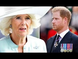 Camilla "furieuse" des commentaires de Harry avant l'épreuve de force du couronnement, selon un init
