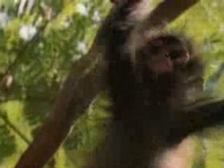 Terre - Puissance d'une Planète [03 / 05]