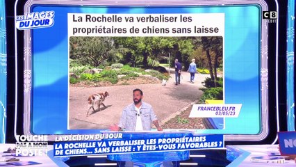 La Rochelle va verbaliser les propriétaires de chiens sans laisse