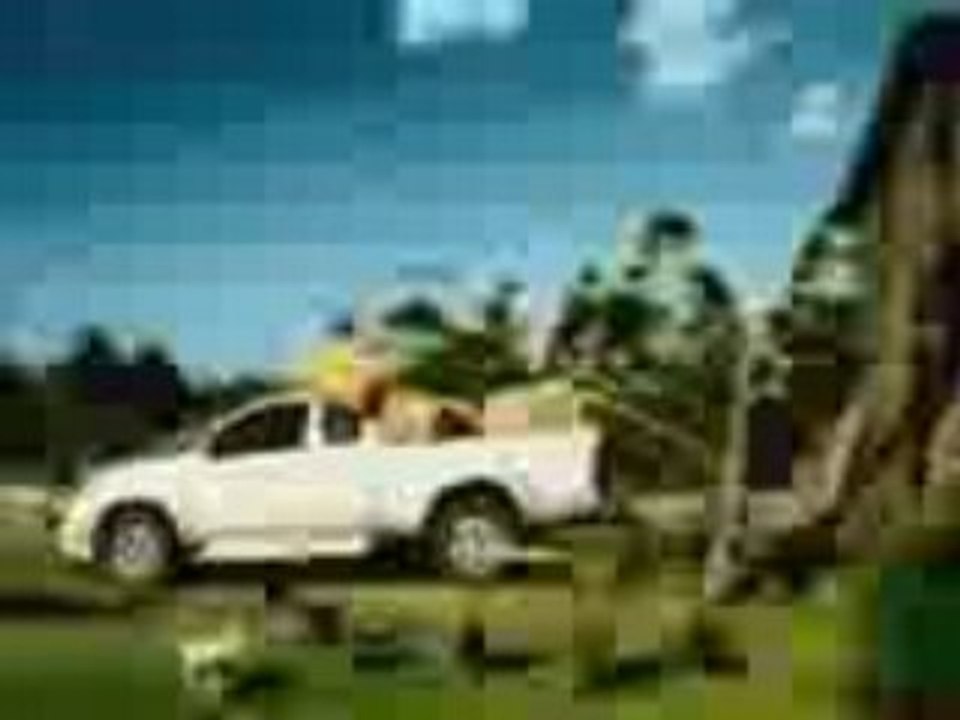 4x4animal