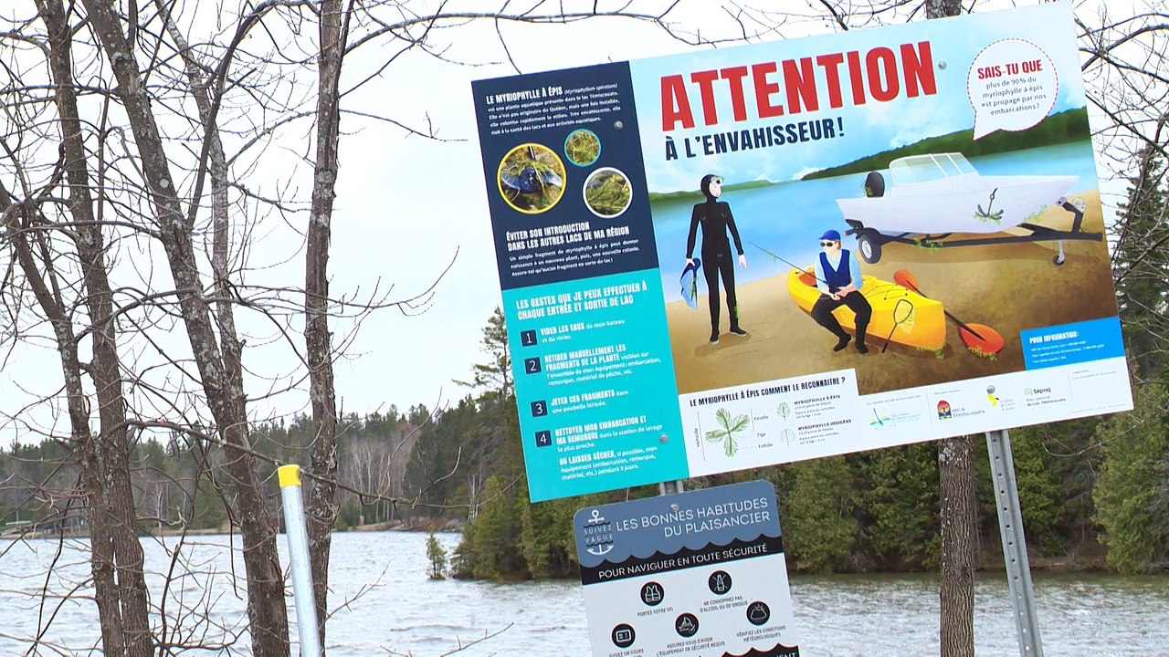 topo peche moule rayees