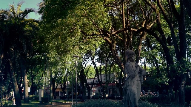 Alcira y el campo de espigas - Trailer