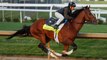 Sports News Minute: Kentucky Derby By The Numbers